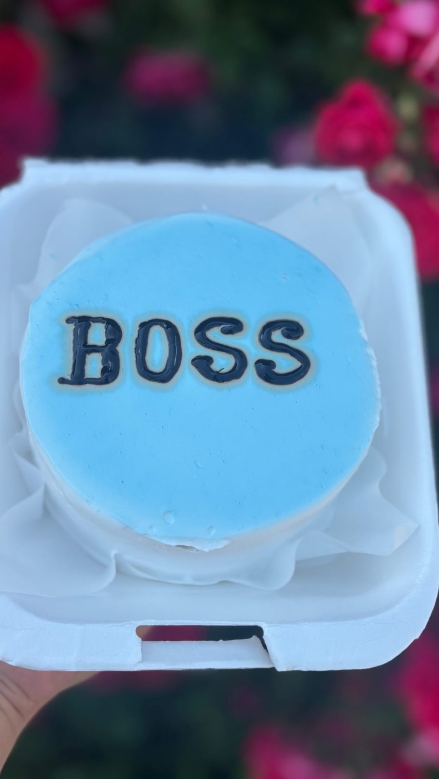 ծննդյան տորթ Գյումրիում — «Բենտո - Boss»